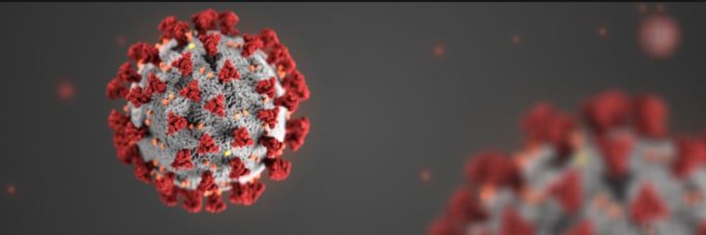 covid19
